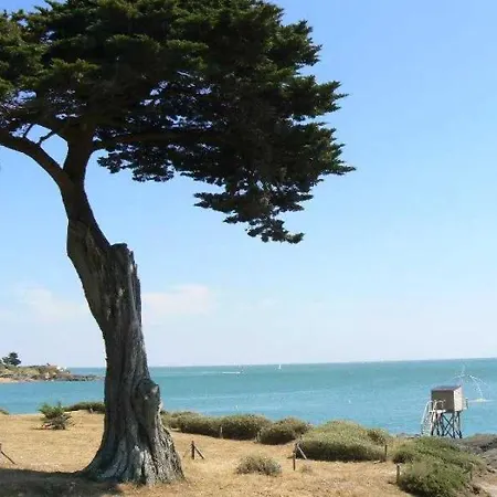 3 Etoiles - Piscine - Ccaaffc Campeggio
