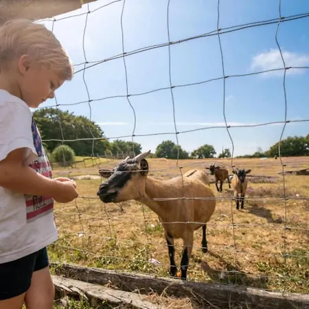 Zecamping 3 Etoiles Animaux Acceptes Club Enfant Piscine Couverte Кемпинг Prigny