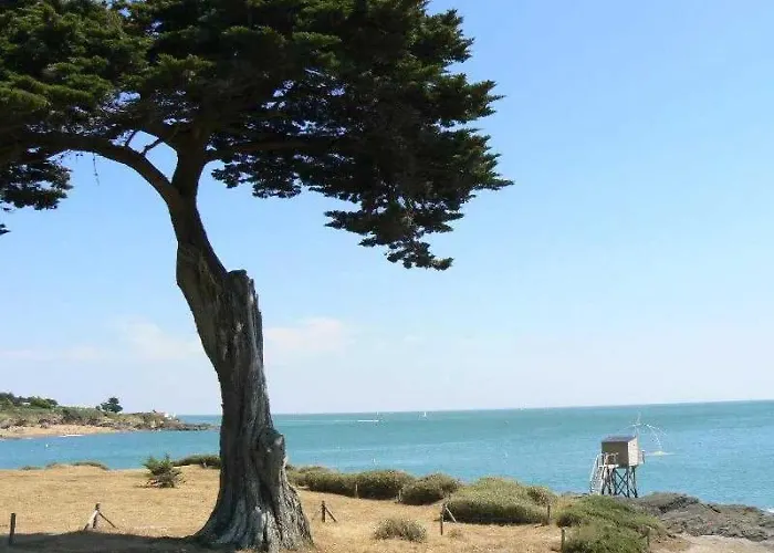 3 Etoiles - Piscine - Ccaaffc キャンプ場