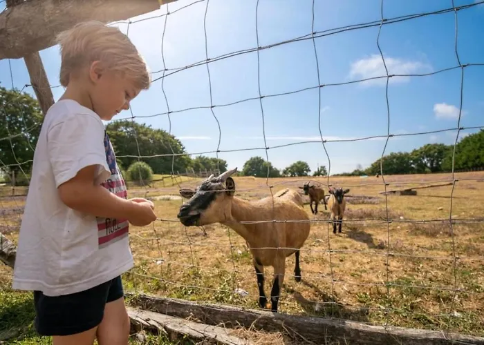 3 Etoiles - Piscine - Ccaaffc Camping Prigny